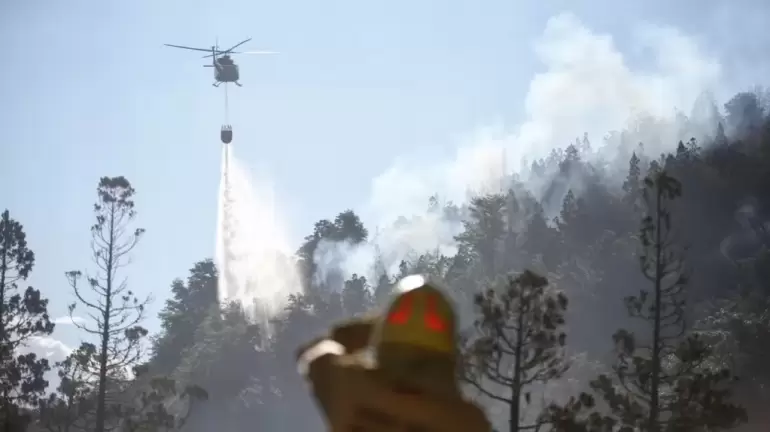 incendio en el Parque Nacional Los Alerces